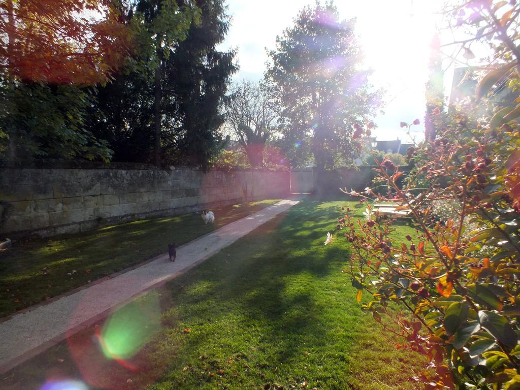 Bed and Breakfast A La Fleur De Lys Langeais Exterior foto